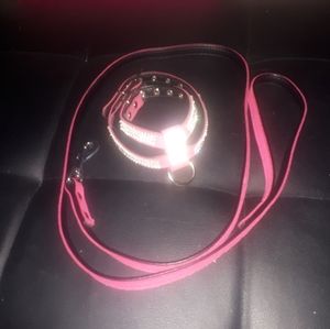 Cat/dog halter/leash